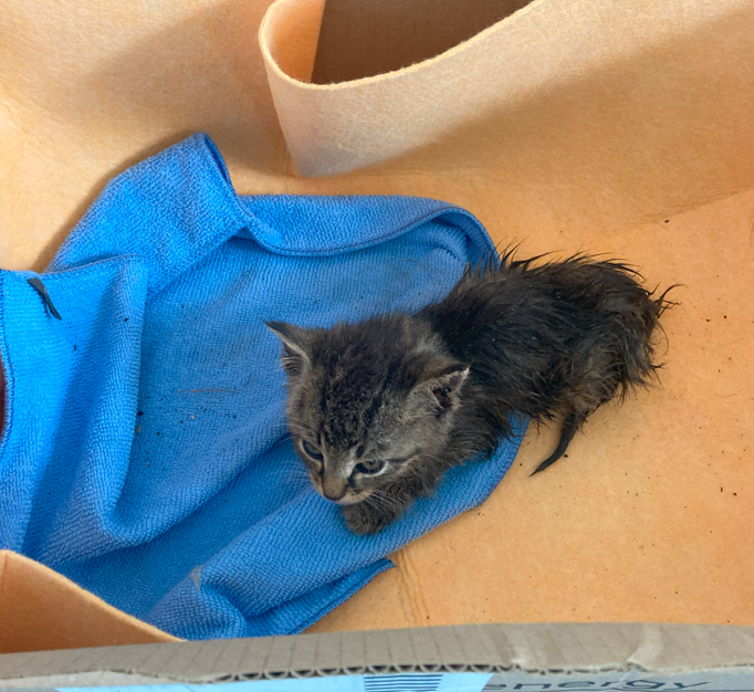 csm_Zero_Screenshot_10f5d57e3b csm_Zero_Screenshot_10f5d57e3b