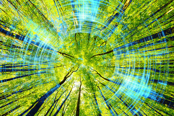 csm_PM_Nachhaltigkeitsziele_MfR_800x533_6fec787f1e