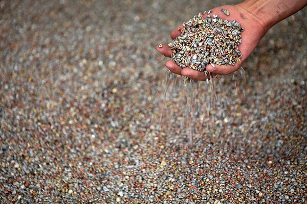 csm_240514-Materialkonto-1606-800x533_5009e95a6c