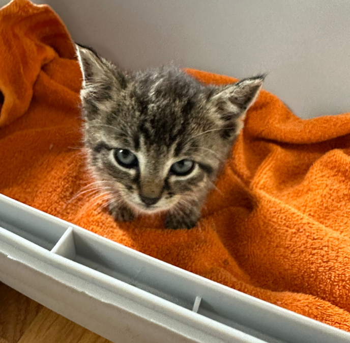 Zero_Screenshot1 Zero_Screenshot1