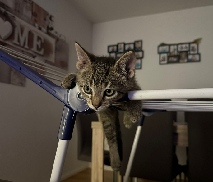 Zero_Screenshot2 Zero_Screenshot2