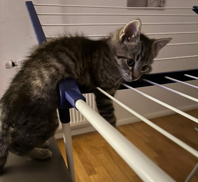 Zero_screenshot3 Zero_screenshot3